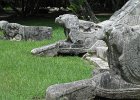 They had a big thing about snakes in those days. Gods of the Maya. : Cancun Sept 2012